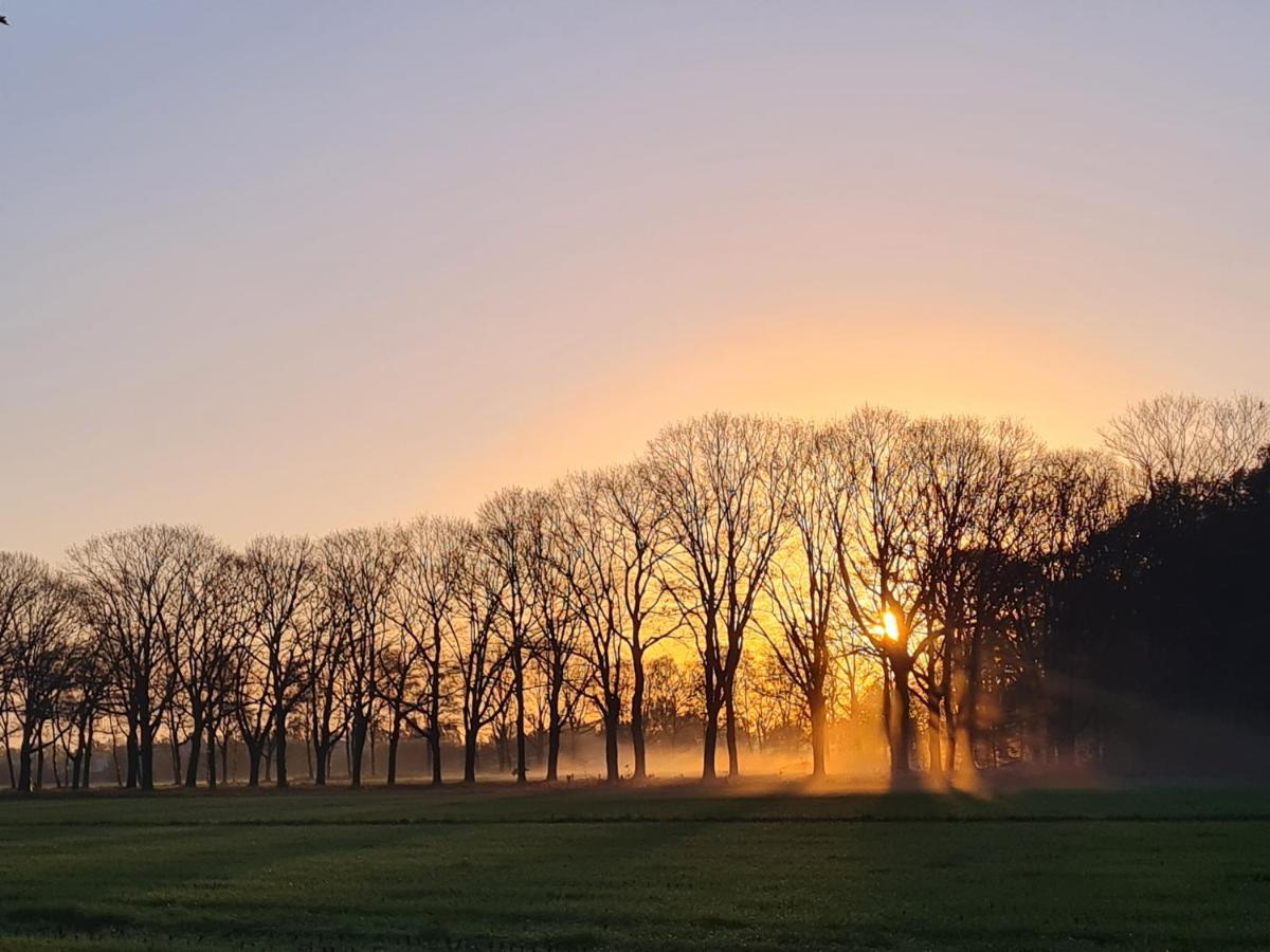 t' Hûske Villa Venhorst Eksteriør bilde